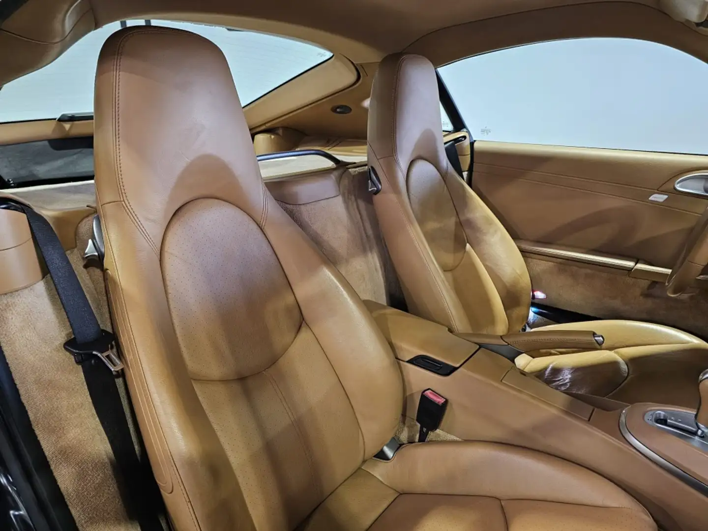 9571b1e8-b217-443c-9a01-90785f92cccc_0ea99dc1-acd8-4003-85c7-bbe41c656981.webp?1758736648094