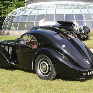 bug%205.jpg?1742497136077