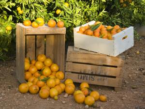 Naranjas