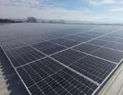 Pascual Autoconsumo Fotovoltaico