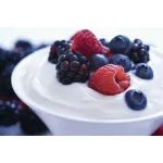 yogur griego para hostelería Il Greco