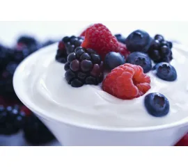 yogur griego para hostelería Il Greco