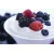 yogur griego para hostelería Il Greco